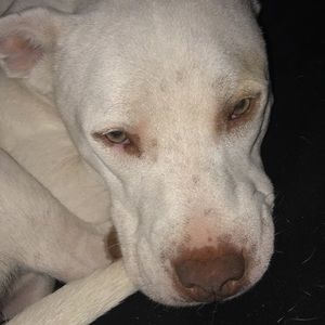 Meet your Posher, Liora